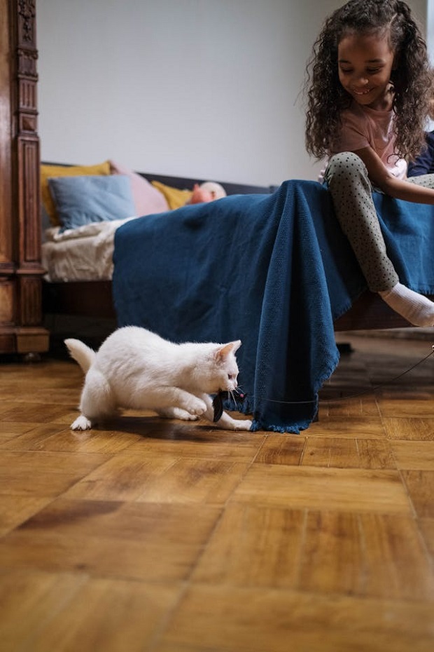 Cat playing with a prey toy 