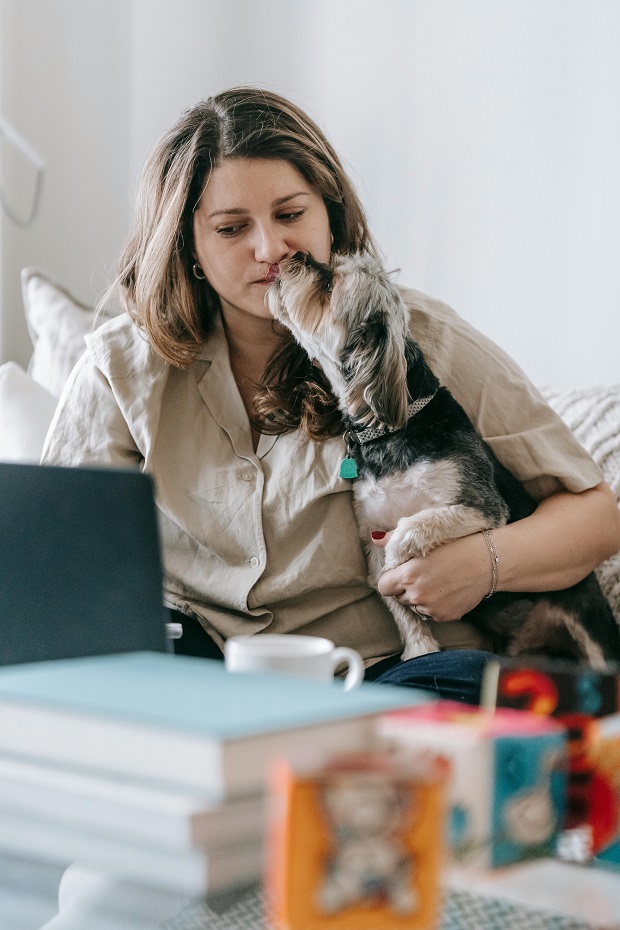 Dog trying to lick the face of its owner to grab attention