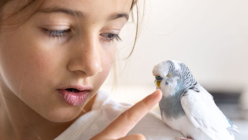 bird and girl