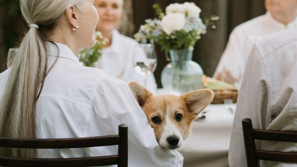 dog and seniors in table