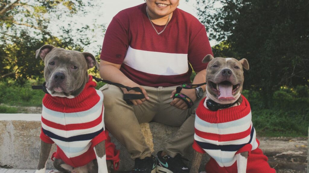 pitbulls with guy