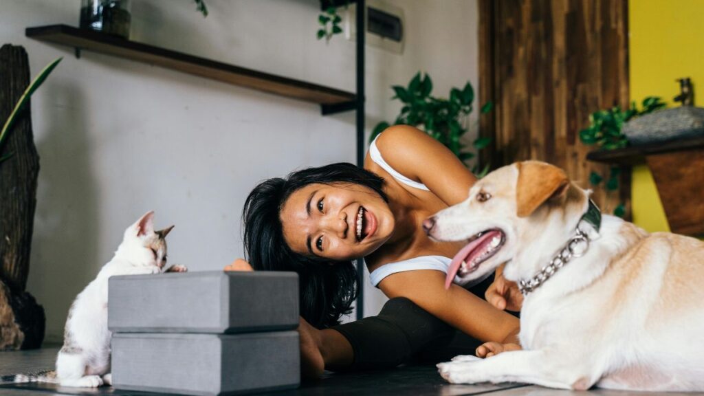 cat and dog playing with human