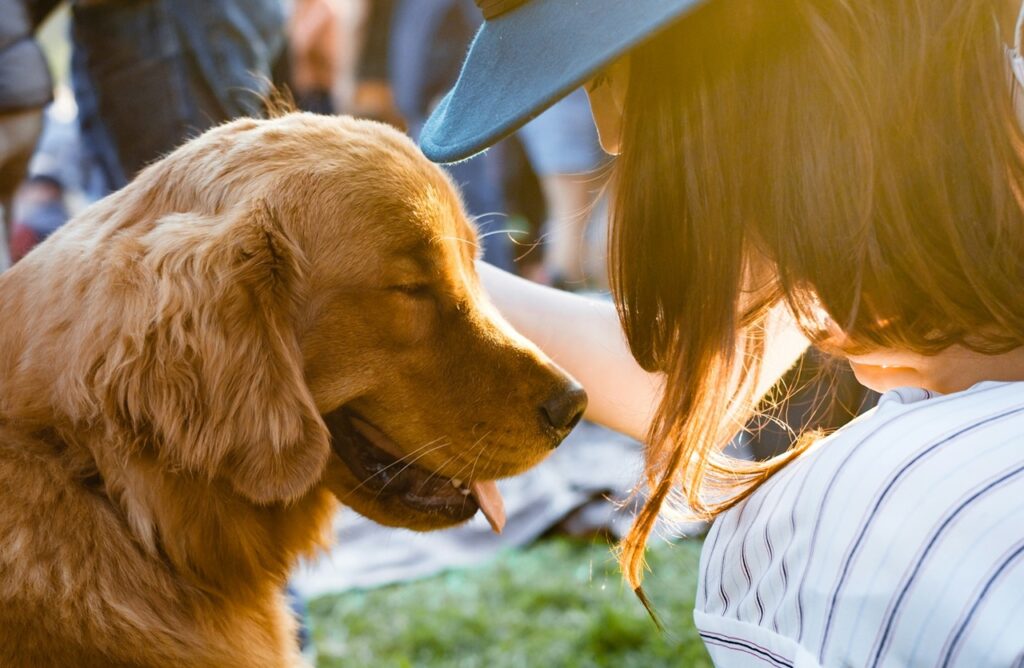 Affectionate dog with its owner