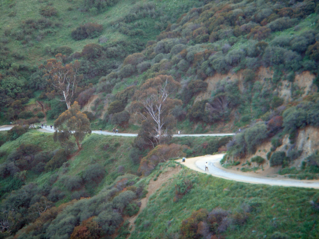 Trail at Runyon Canyon Park
