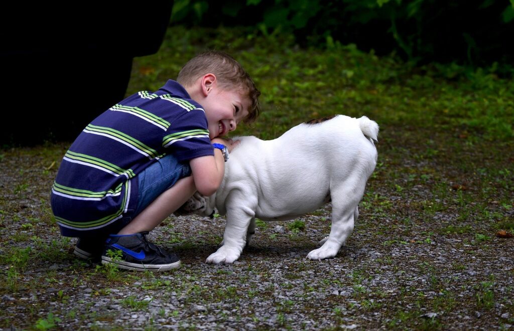 Bulldog with a kid