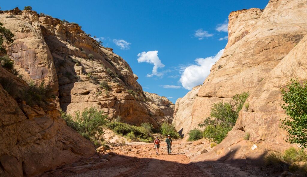 Capitol Reef National Park