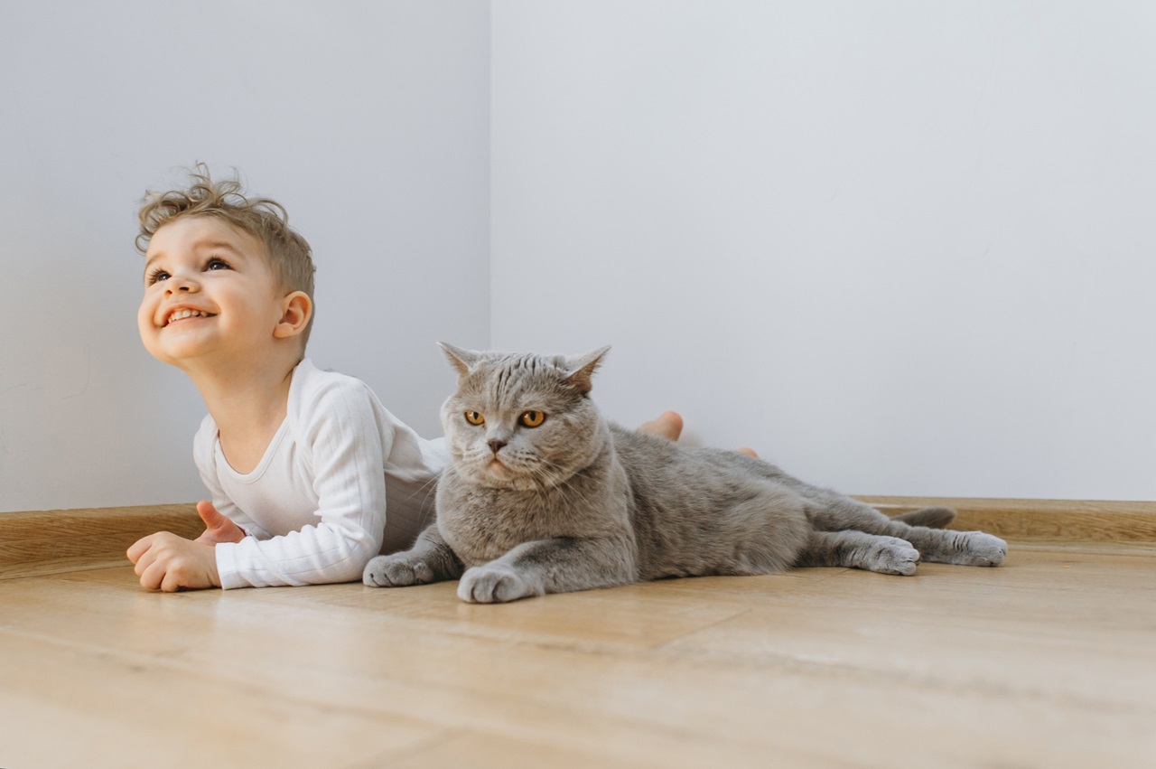 Cat playing with kid
