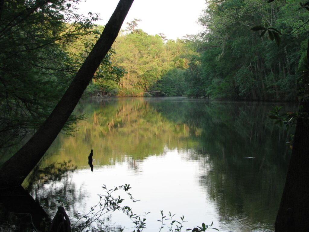 Congaree National Park 