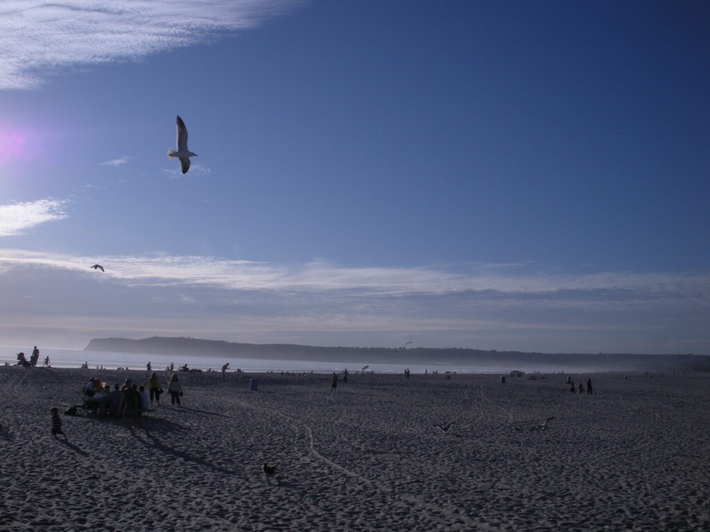 Morning at Coronado Beach