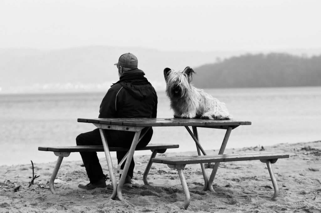 Skye Terrier in a beach