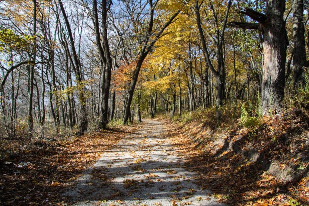 Indiana Dunes National Park 