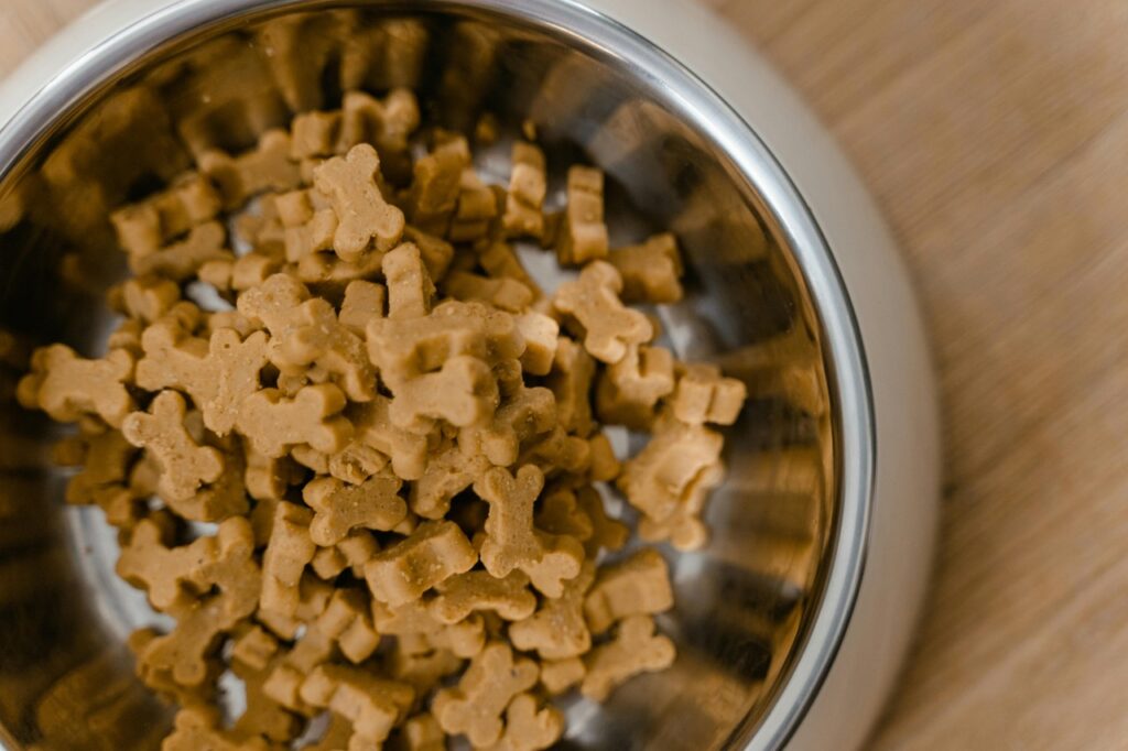 Dog food in a Bowl