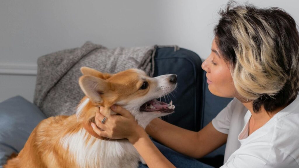 dog and owner