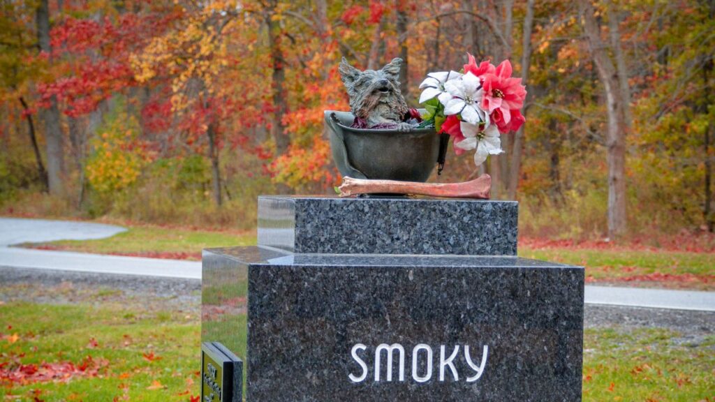 Smoky monument Yorkshire Terrier