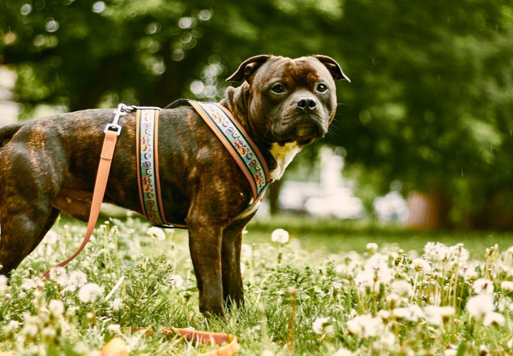 alexander belov/unsplash