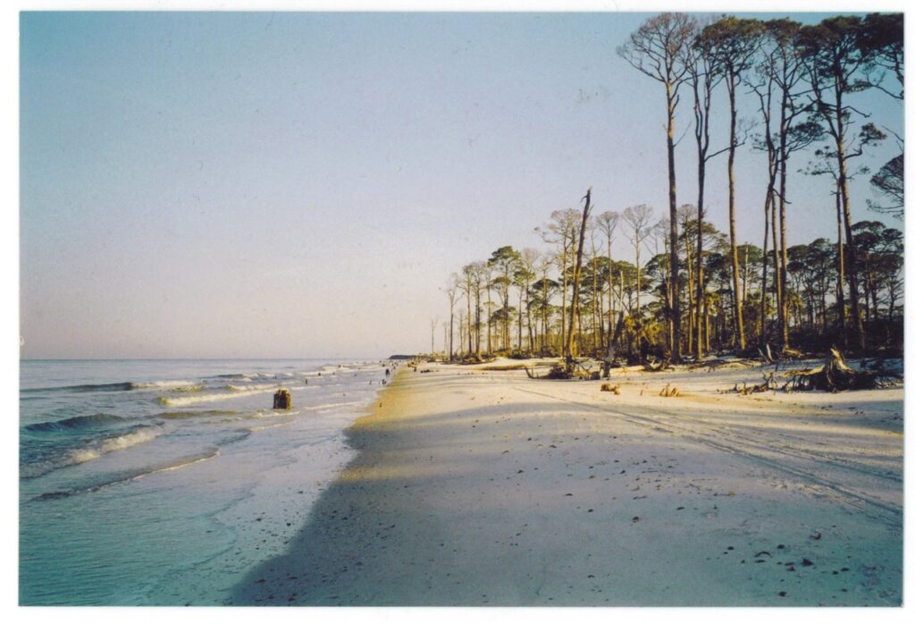 Stunning view of Cape San Blas