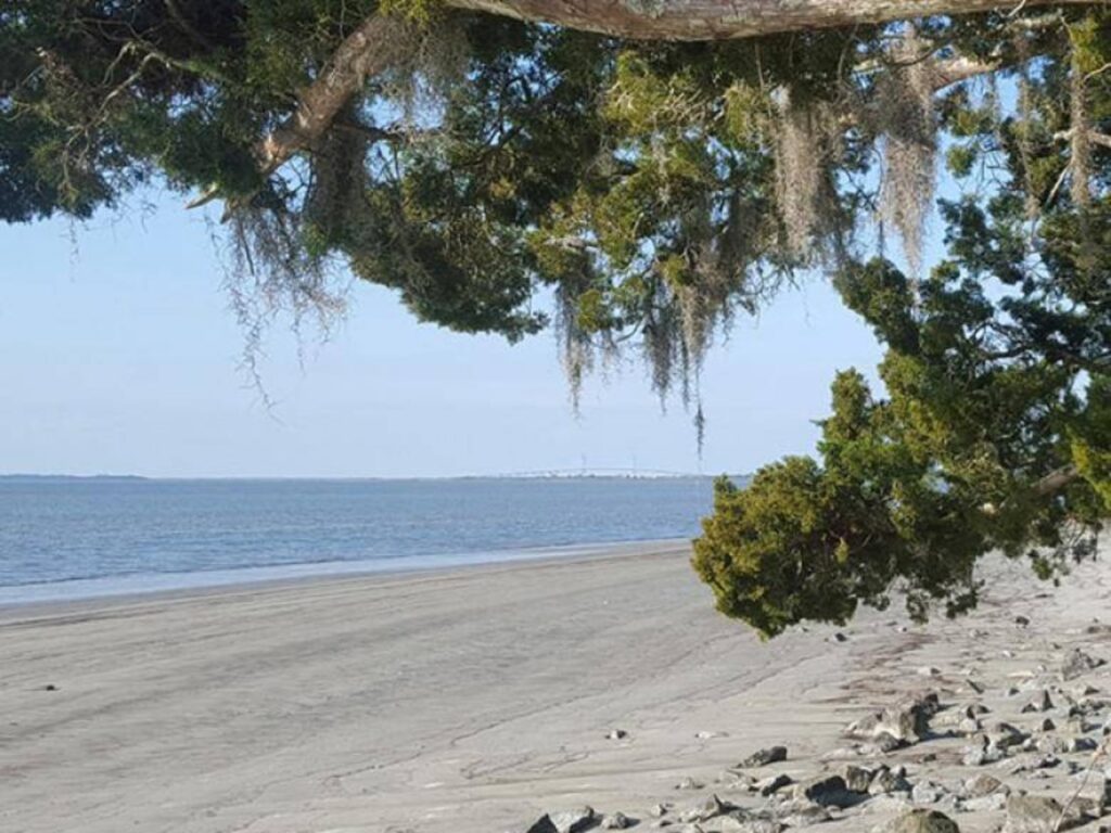 View of the Jekyll Island beach