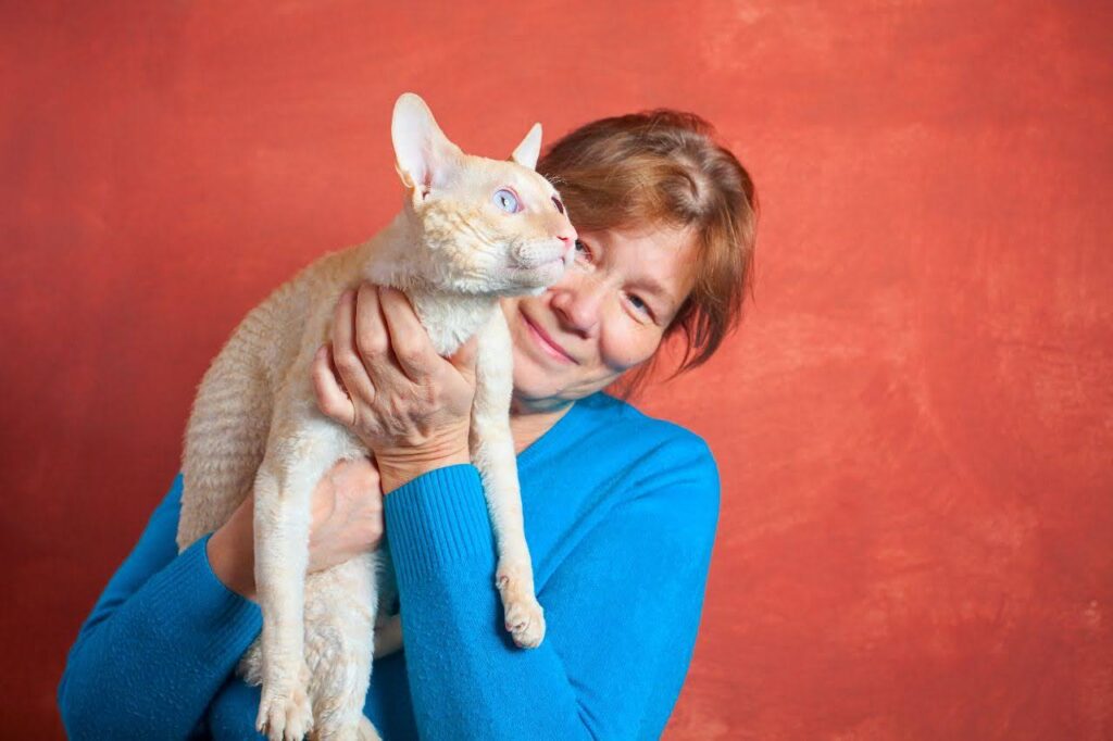 Devon Rex