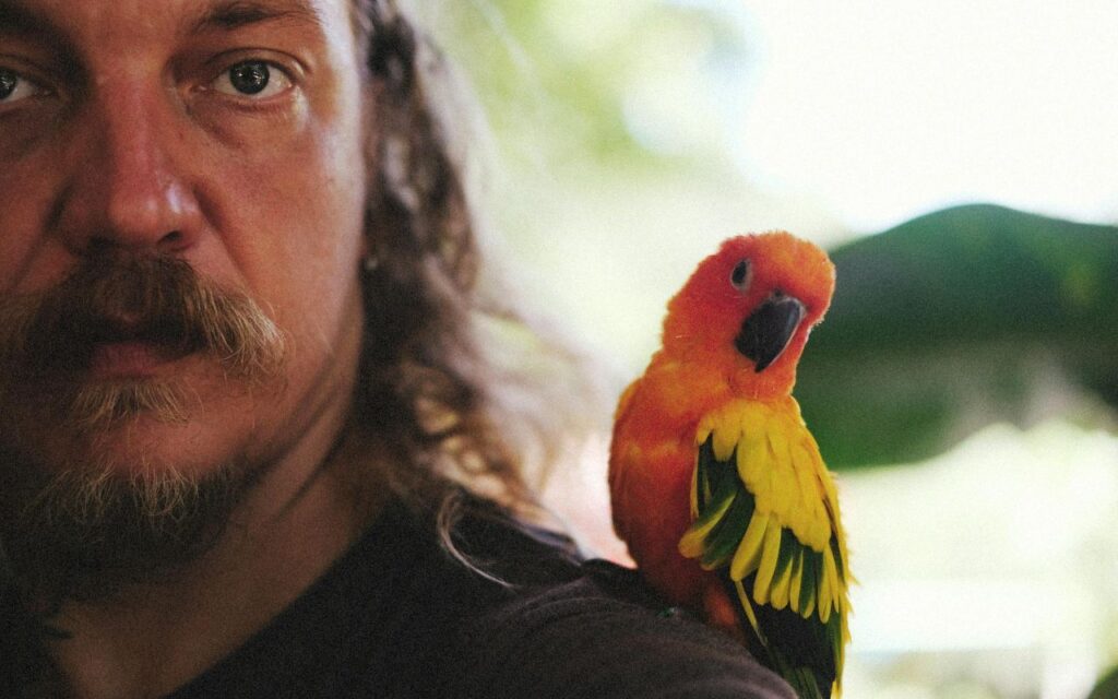 Conure