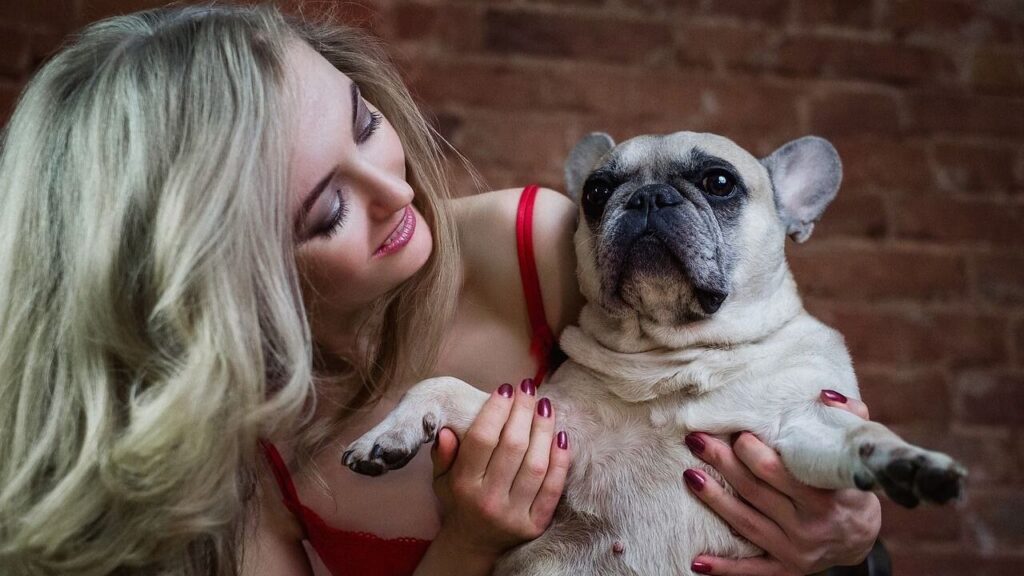 pug