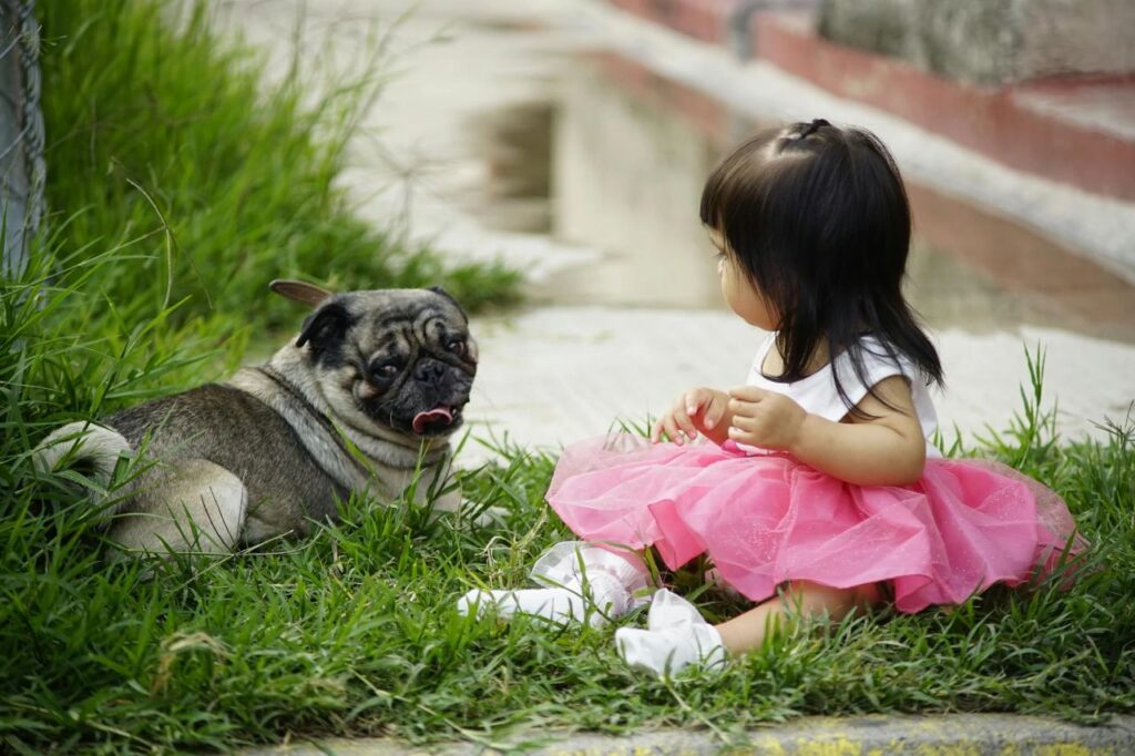 Pug in the garden with a little kid