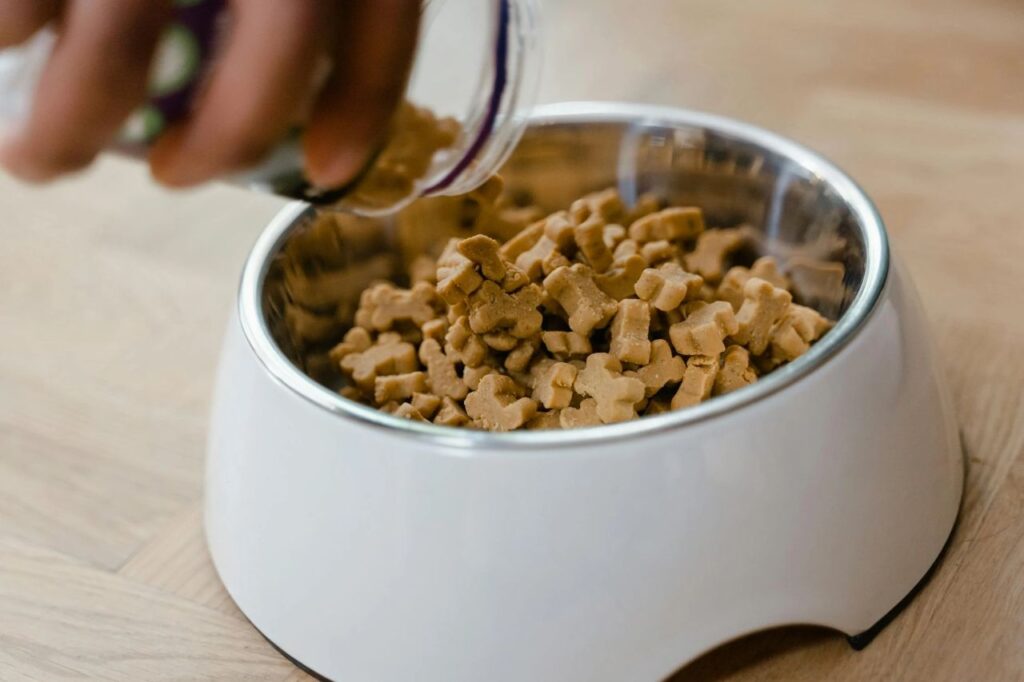 Dog food in the feeding pan