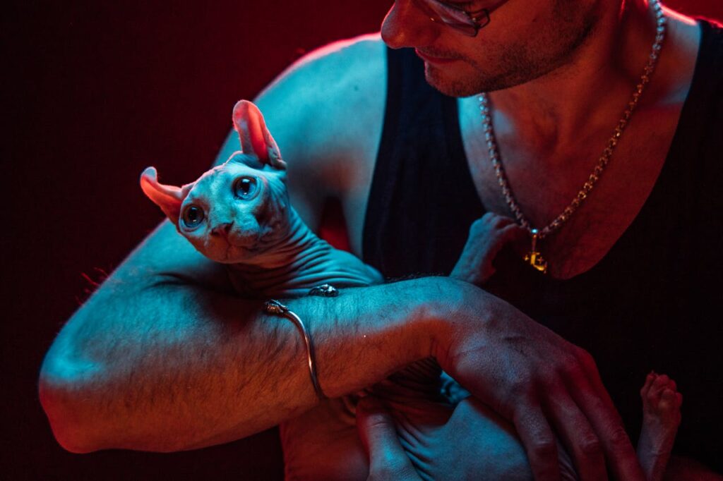 Sphynx