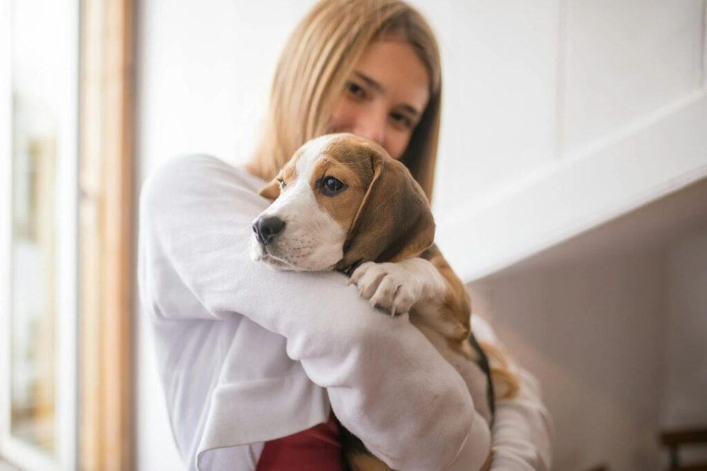 beagle and owner