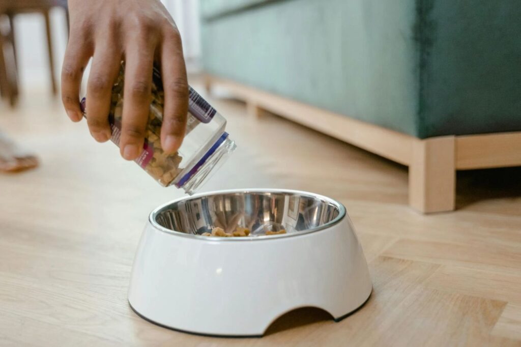Elevated Dog food pan