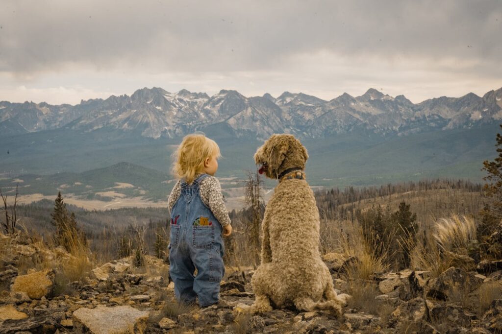 child and dog