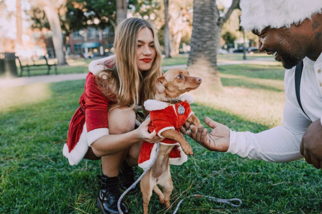 Dachshund