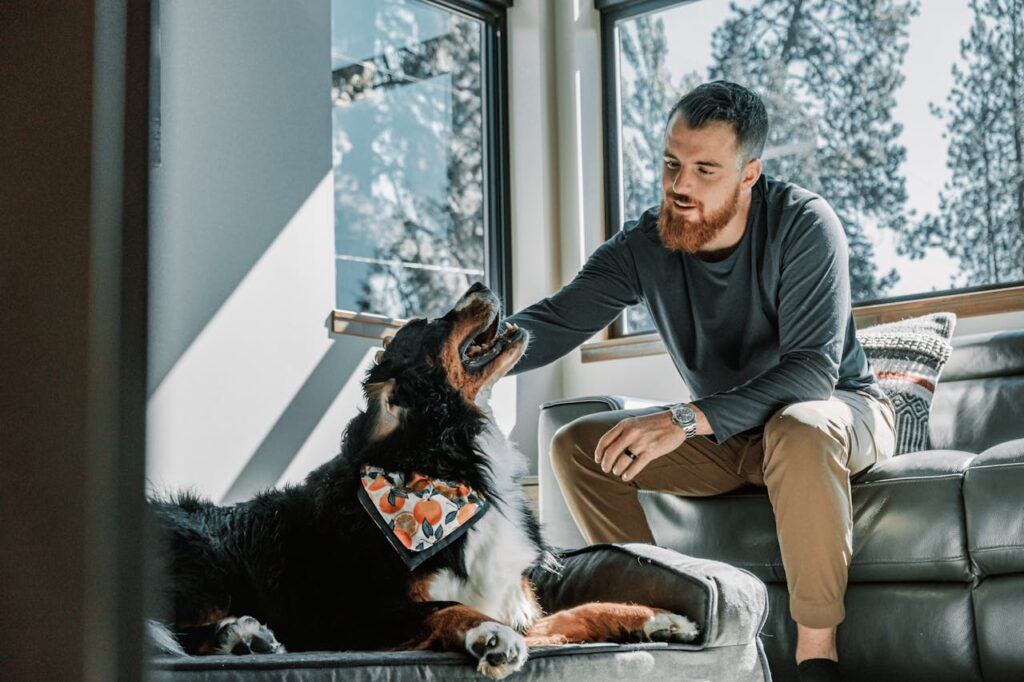 A senior dog with its owner