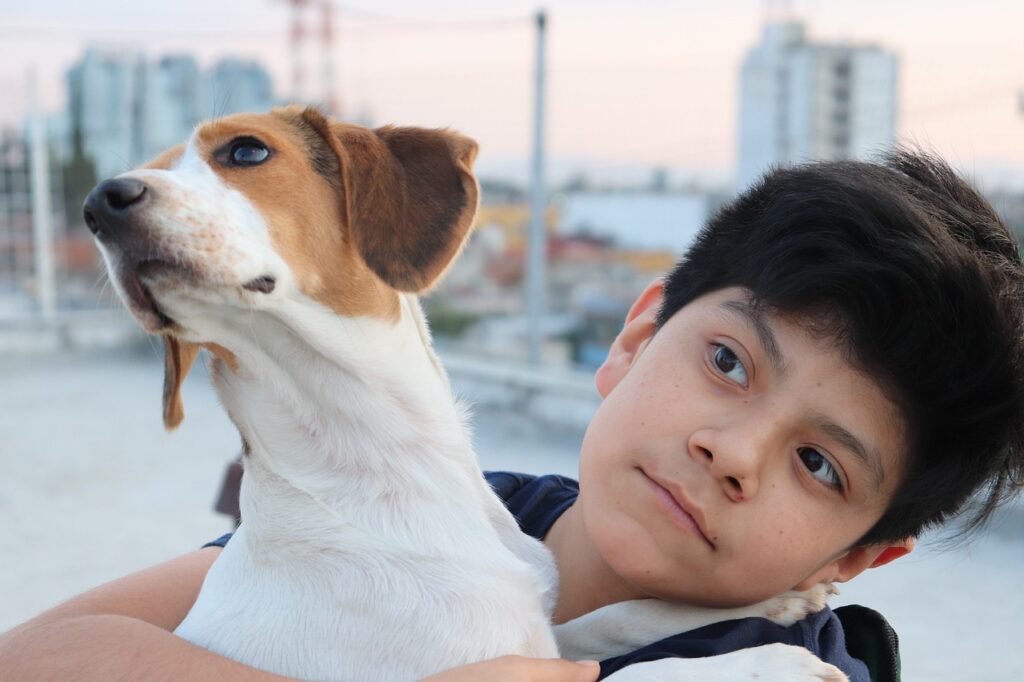 beagle
