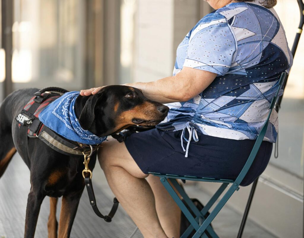 Petting a dog