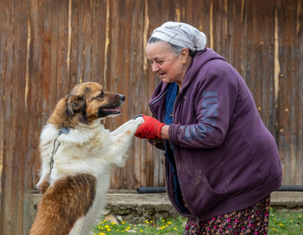 Playing with the dog