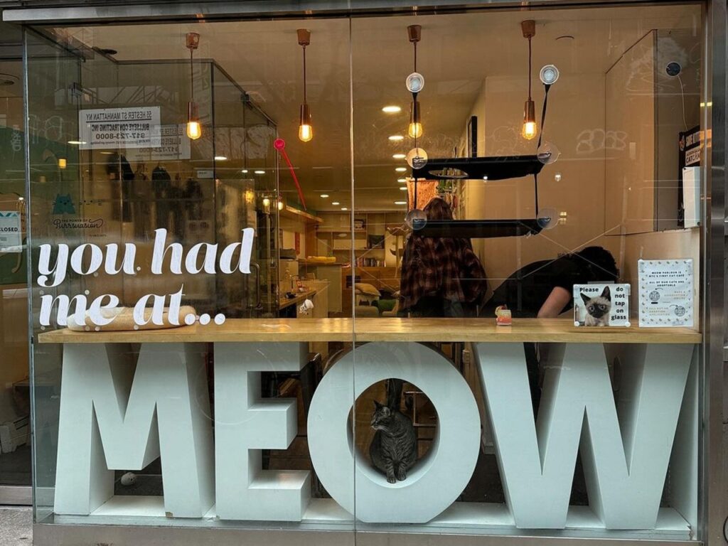 Meow Parlour entrance
