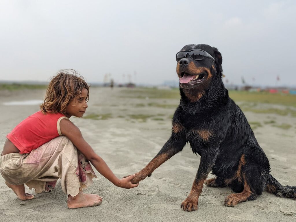 Rottweiler with a kid