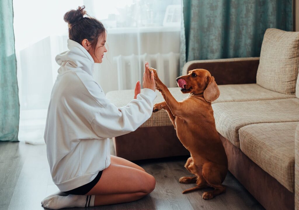 Dog high-five with a woman