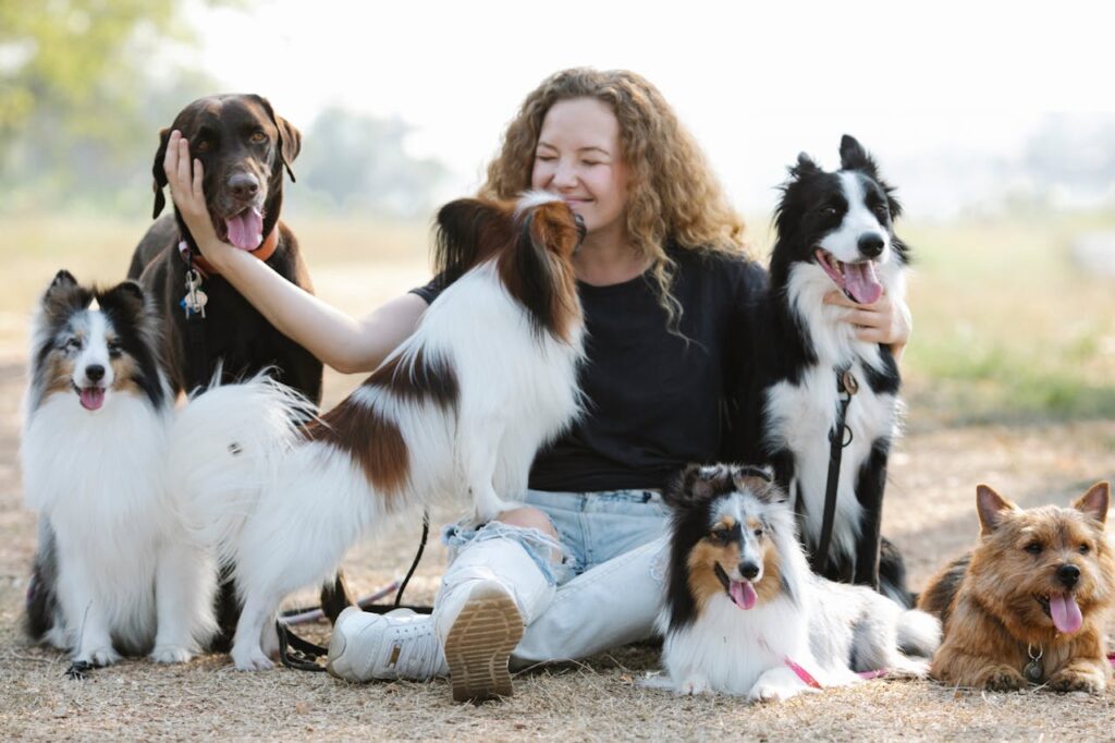 Dogs playing with each other