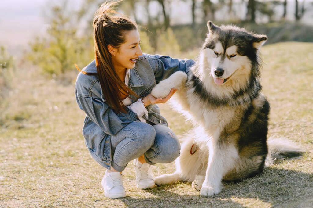 Holding the paw of a huskey