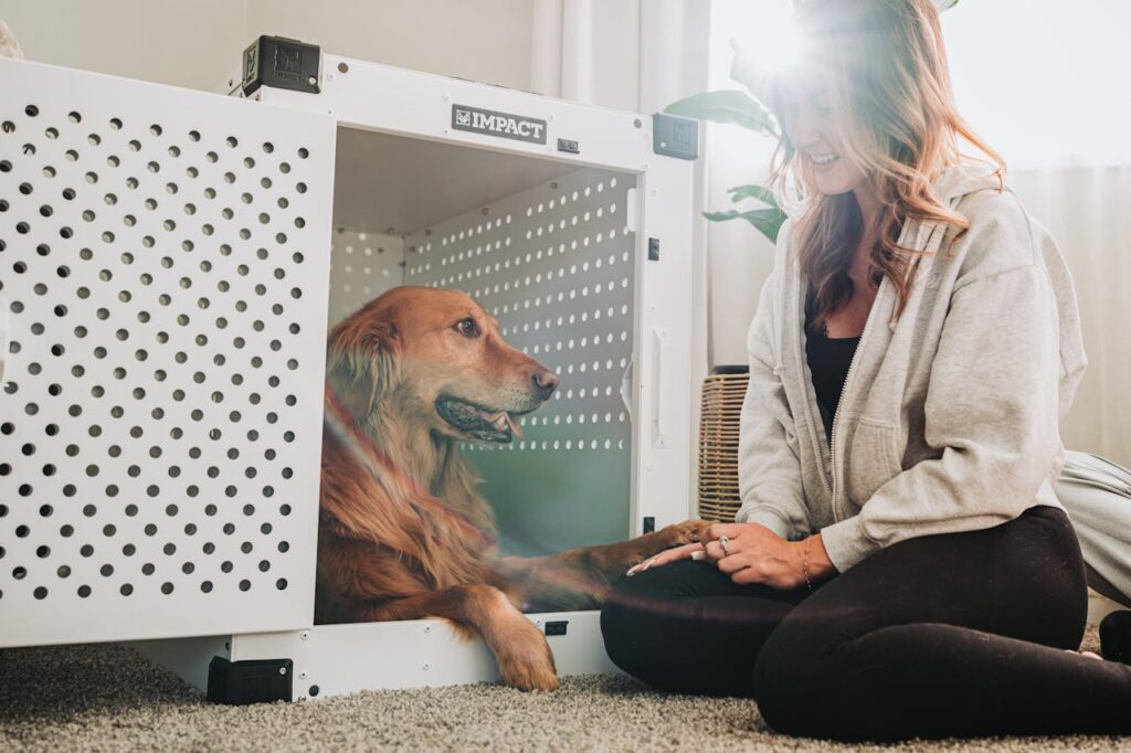 Dog feeling safe in a crate