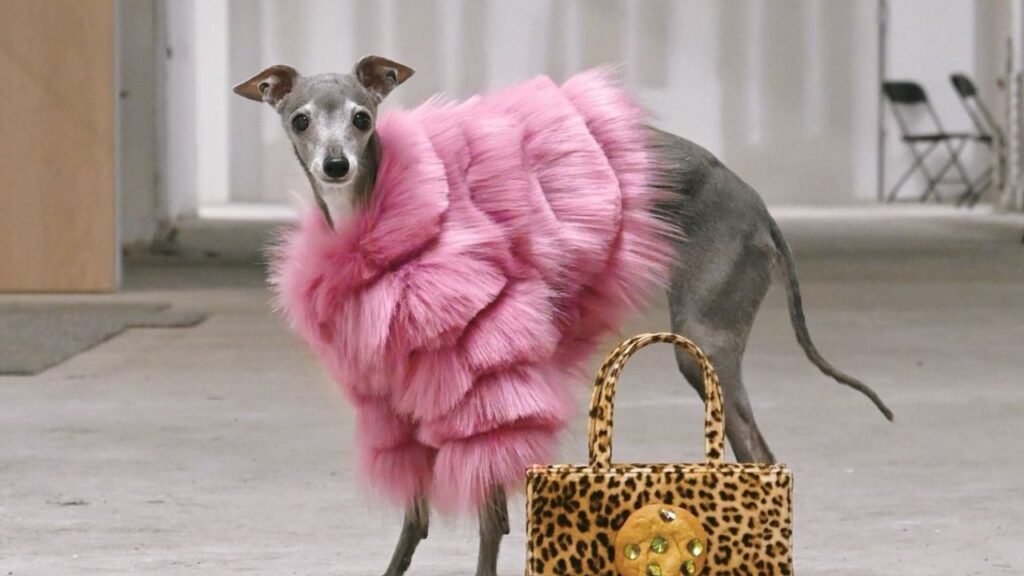 tikatheiggy_Instagram