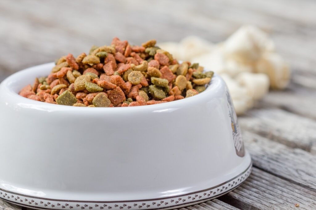 Dog Food on a bowl