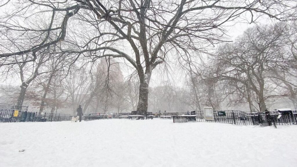 Winter at Tompkins Square Dog Run