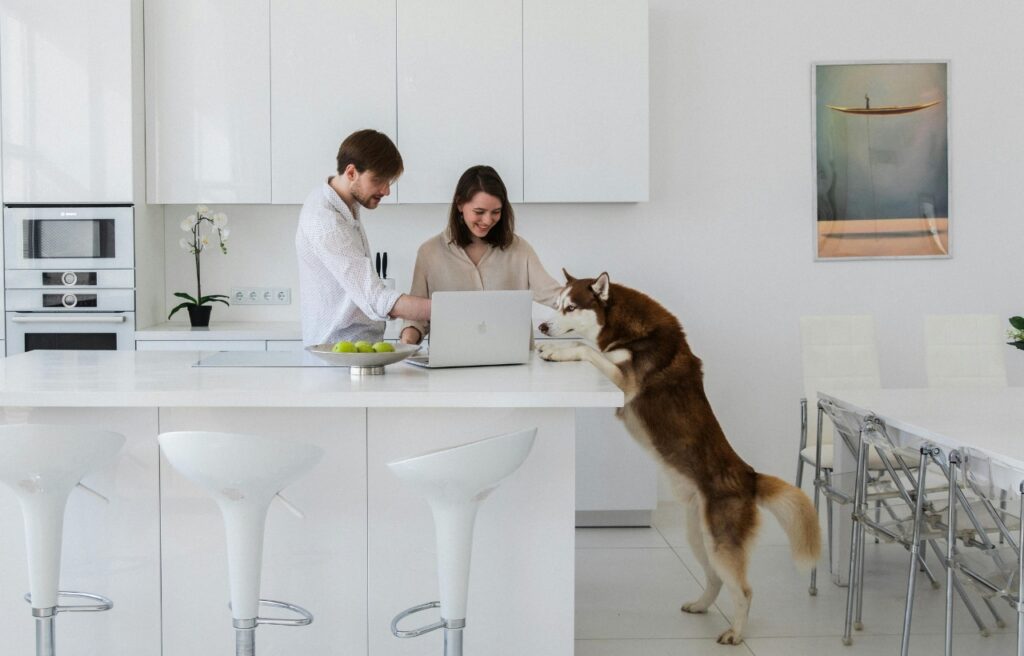 Dog standing against the counter