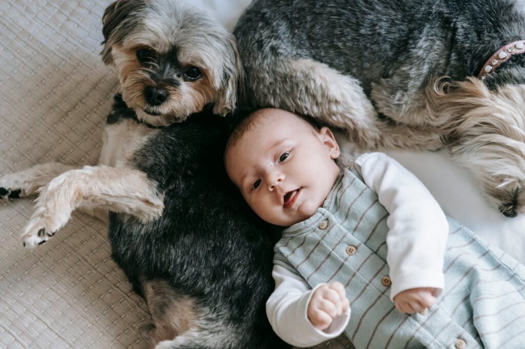 Baby with a dog