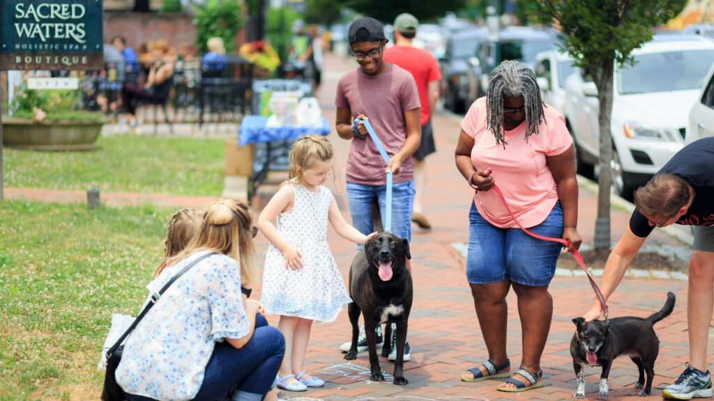 dog in crowd