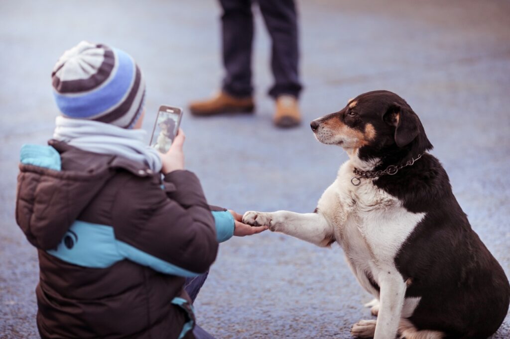 Kid taking a photo of the dog
