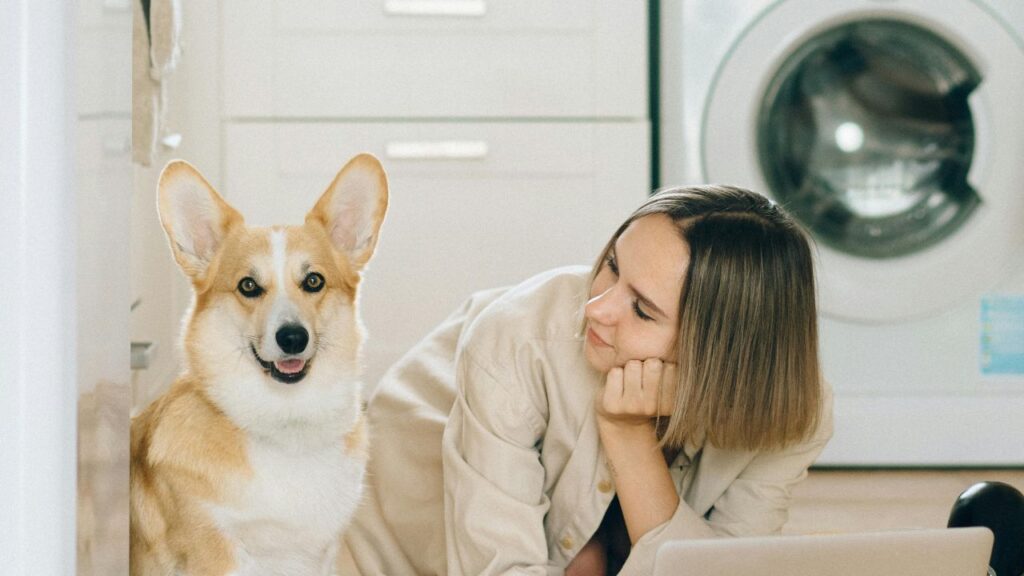 dog with owner andd Loud Household Appliances