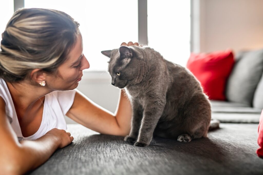 Cat with a woman